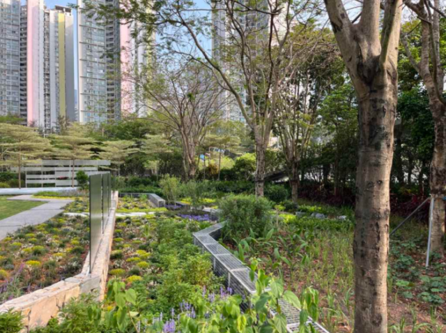 Yuehai Climate-Resilient Community