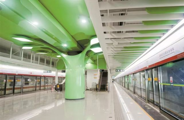 A Row of “Ancient Trees” at Xichong Metro Station