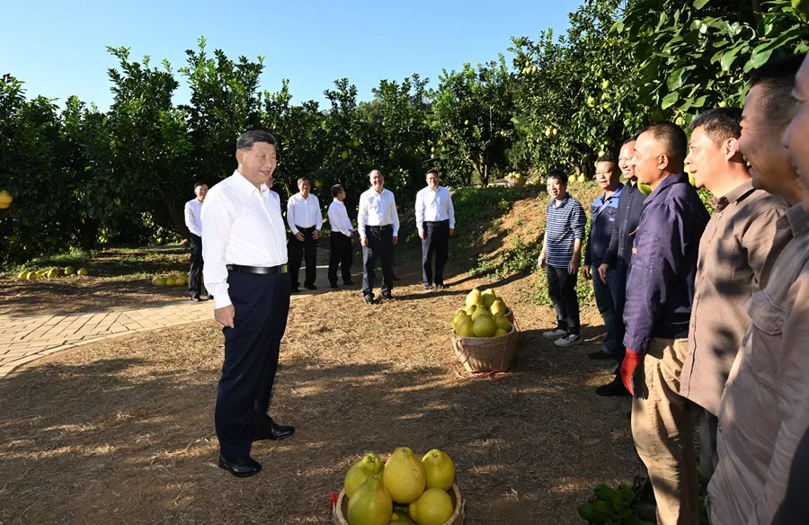 Echoes of Endeavor | A Report Card from the Fertile Lands