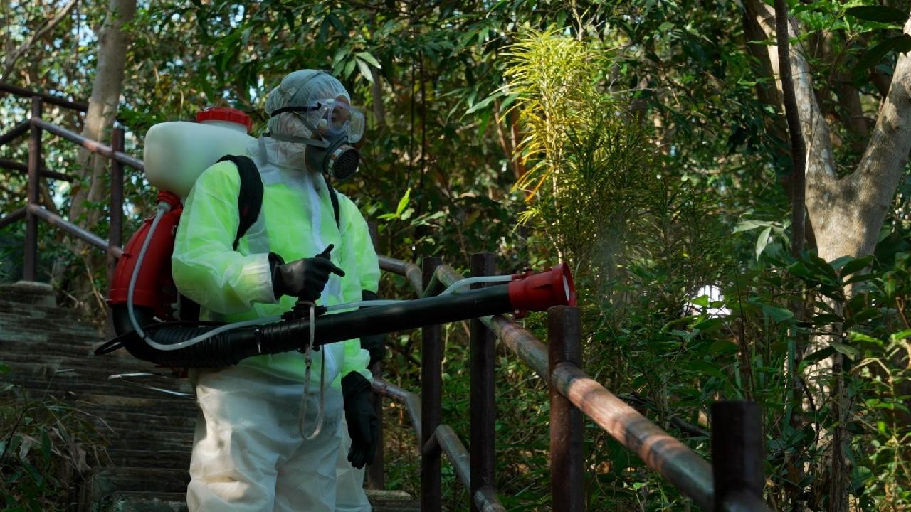 Harnessing Technology for Mosquito Eradication to Prevent Chikungunya Fever