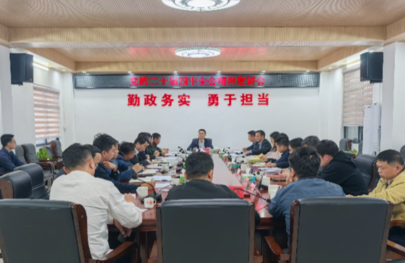 Chen Yongbing, Leader of Huidong County, Conducts Research in Andun Town