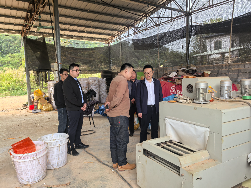 Chen Yongbing, Leader of Huidong County, Conducts Research in Andun Town