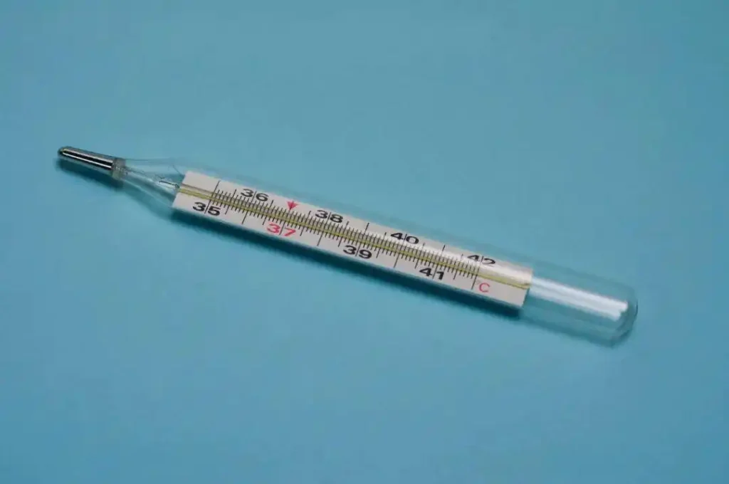 Mercury Thermometers