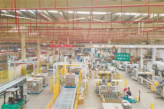 How Did Jiangmen’s Printing Industry Innovate to Excel in the “14th Five-Year Plan”?