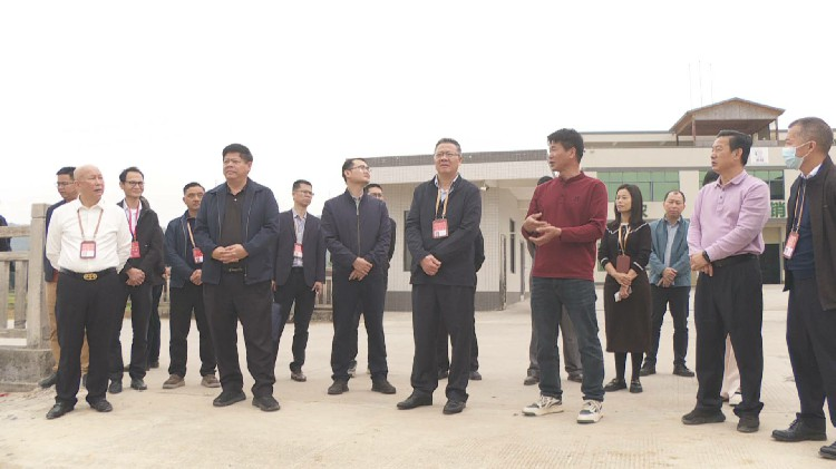 Huizhou Municipal People’s Congress Deputies Conduct Concentrated Inspection on Characteristic Agriculture Development in Huidong County