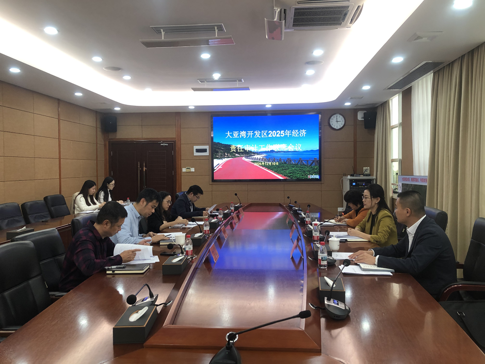 Joint Conference on Economic Responsibility Audit Work for 2025 Held in Daya Bay Development Zone