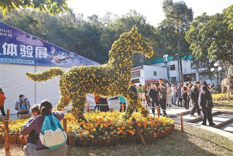 The total area of flower arrangement exceeds 5,000 square meters, with more than 100,000 pots of chrysanthemums on display.
