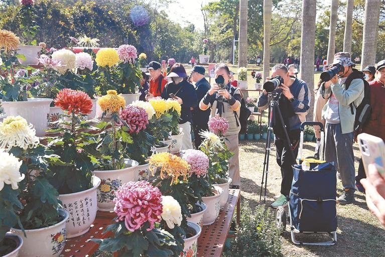 Limited “Golden Romance” Invites You to the Date