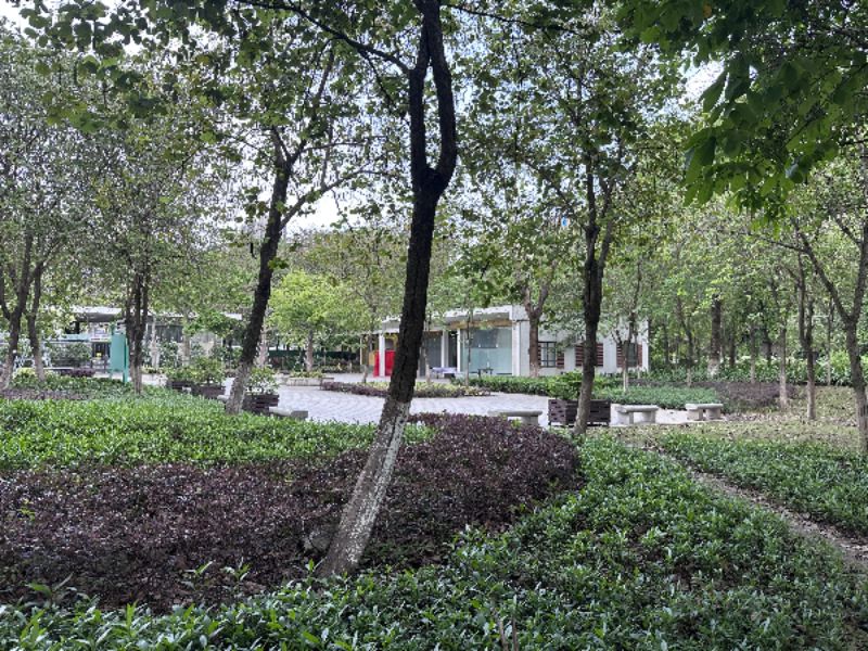 Real Scenes of Lingnan Flower Fragrance Science Popularization Museum Before and After Renovation