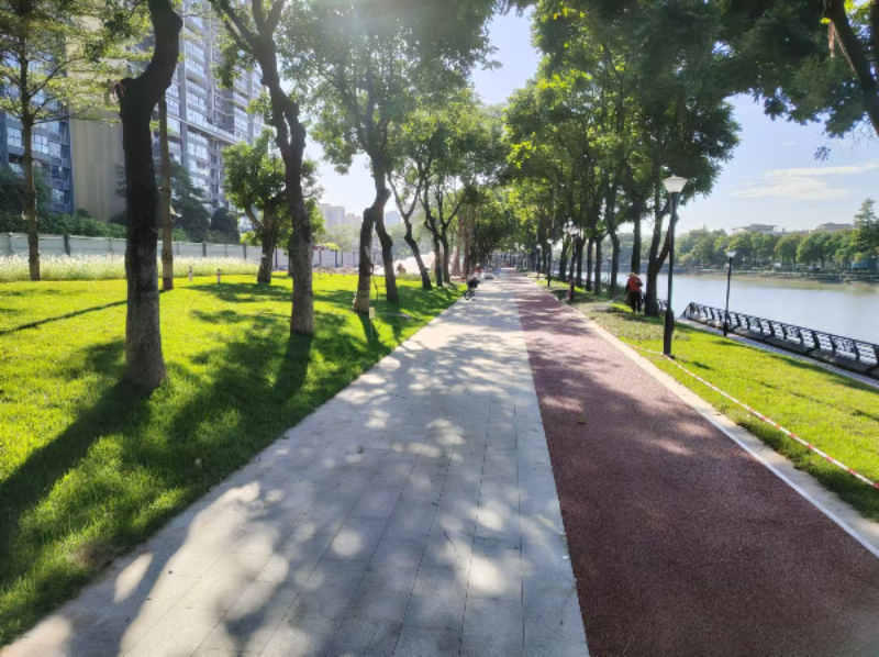 Real Scenes of Huadi River Dyke Top Road Before and After Renovation