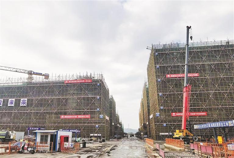 Longhua and Chaoyang have focused on co-building industrial parks and developing “reverse enclaves”, achieving remarkable results in industrial collaboration, rural revitalization and many other fields.