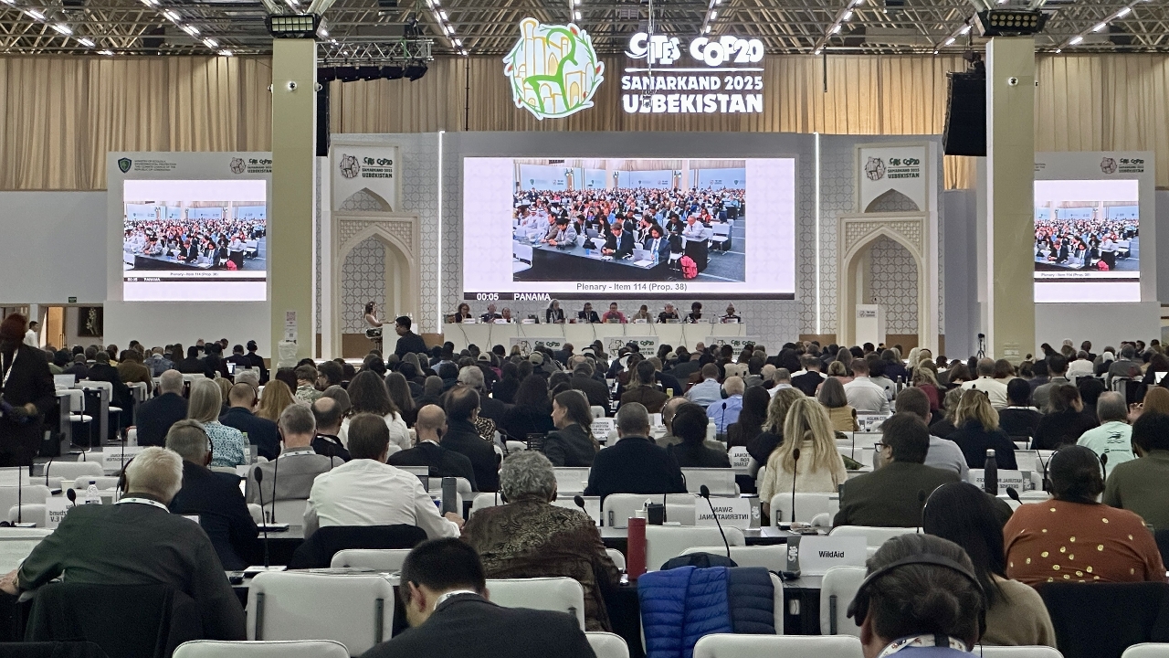 Macao SAR Government Representatives Attend the 20th Meeting of the Conference of the Parties to CITES
