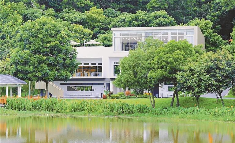 Dayun Book Bar in Dayun Park is surrounded by lush green trees.