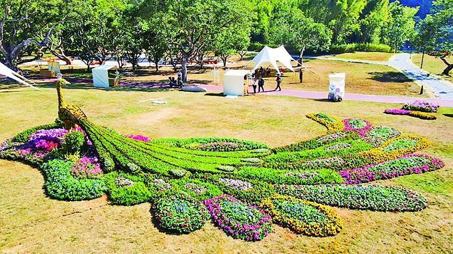 With the "Million Project" as the Brush, Zengcheng Meticulously Paints a Picture of Green and Beautiful Ecology