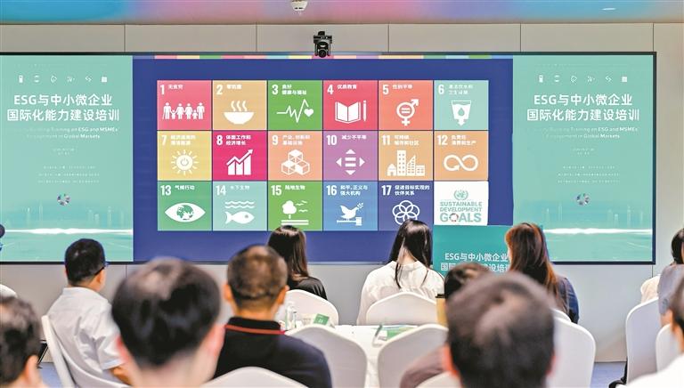 Training Session on ESG and Internationalization Capacity Building for Micro, Small and Medium-sized Enterprises